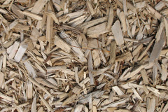 biomass boilers Skirwith